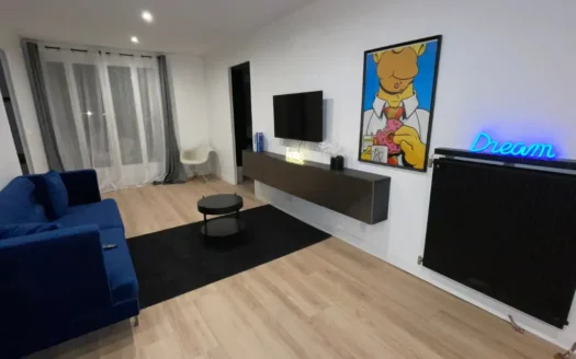 T5 Henri Dunant  | Chambre Gris