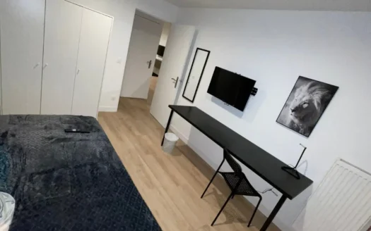 T5 Henri Dunant  | Chambre Gris