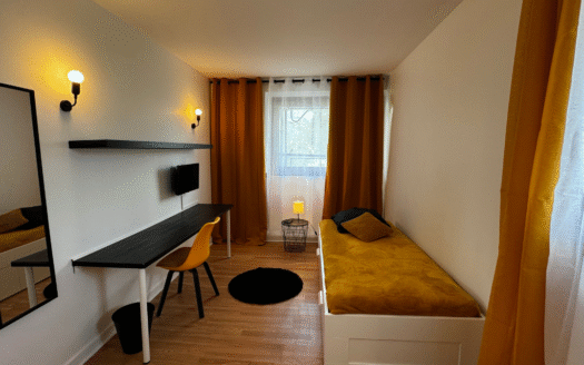 T4 Albert Einstein  | Yellow Room